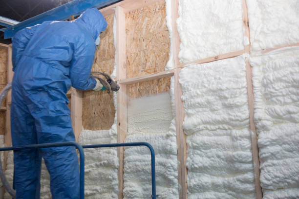 Best Crawl Space Insulation in Fredonia, NY